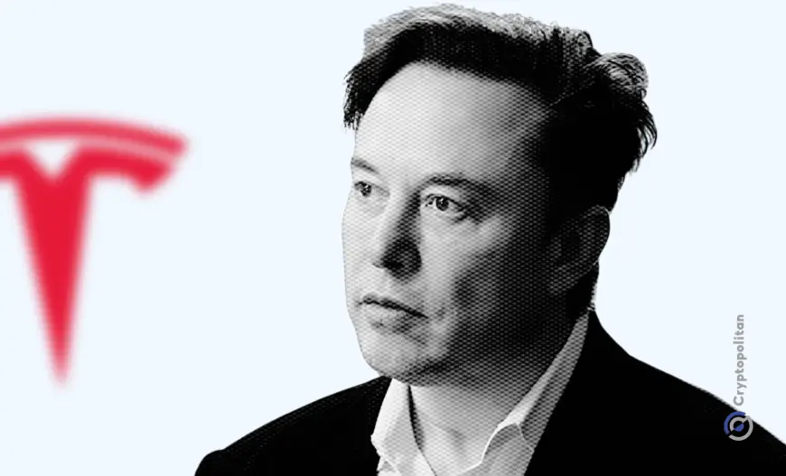 Elon Musk reveals Tesla’s advanced AI supercluster