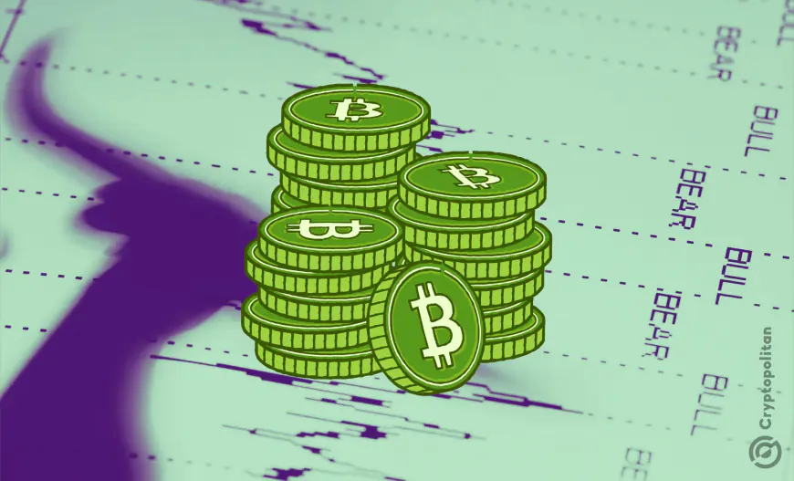 Bitcoin and crypto markets see renewed risk appetite