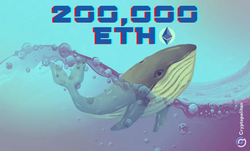 Ethereum whales accumulate over 200,000 ETH. Is this the bottom?