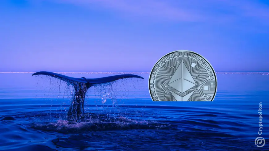 Market turbulence pushes Ethereum (ETH) whales to sell and cover loans