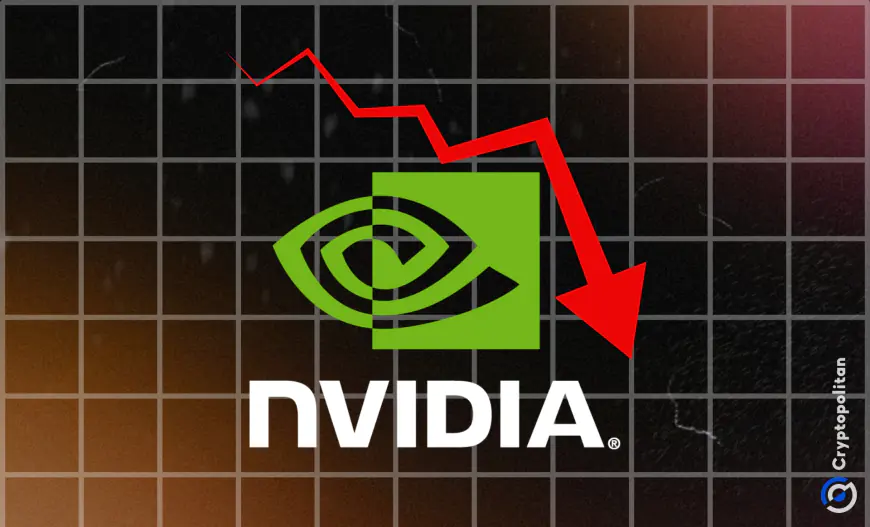 Nvidia erases $250B in market cap despite strong earnings