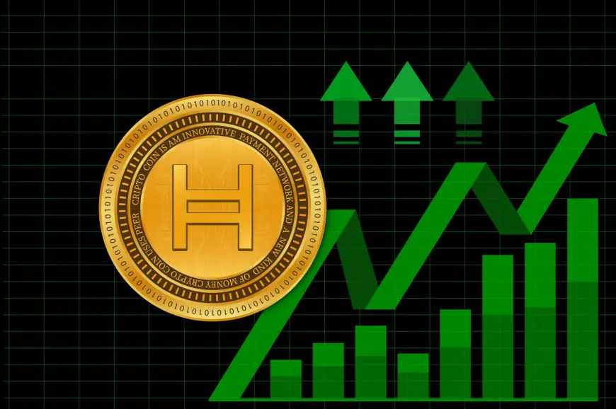 Hedera Q2 Report: HBAR Climbs Market Cap Ranks, Transactions and Revenue Spike