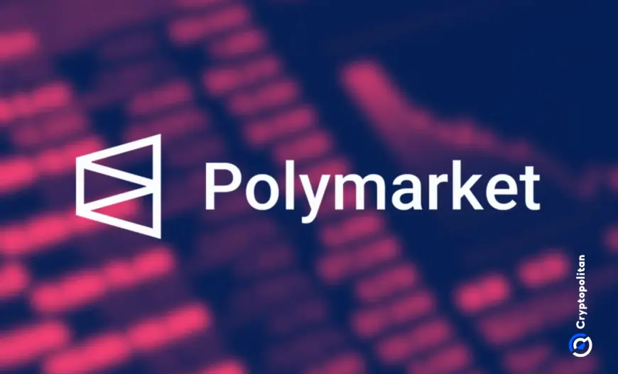 Bloomberg adds Polymarket U.S. election odds to Terminal