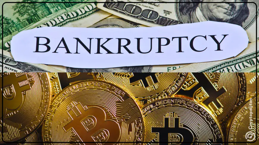 Lawyers cash in on crypto bankruptcy wave with $751M in fees