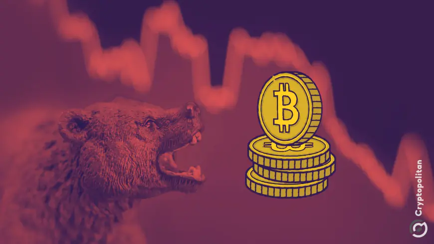 Crypto bulls bleed as Bitcoin drops to $57k, What’s next?