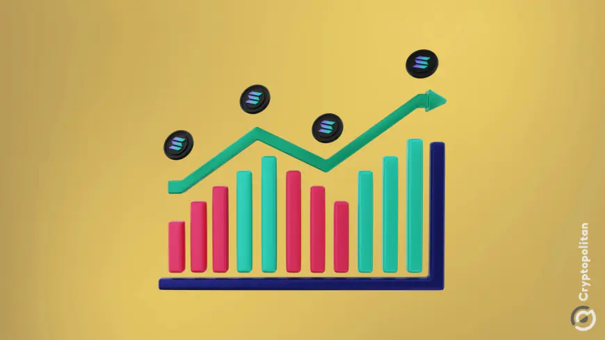 Solana transactions recover after fears of reaching an all-time low