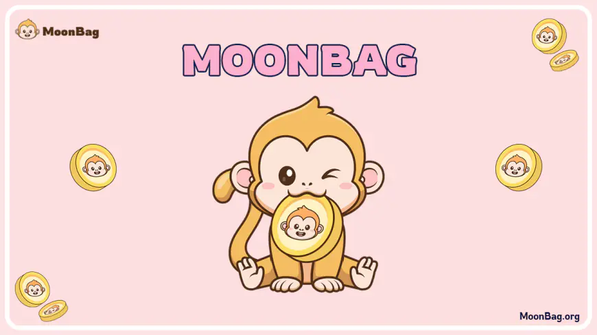 MoonBag’s $10 Prediction by 2030 Places It in the Best Crypto Presale List as NEIRO Reaches $0.2933 and Base Dawgz Aims DEX Debut