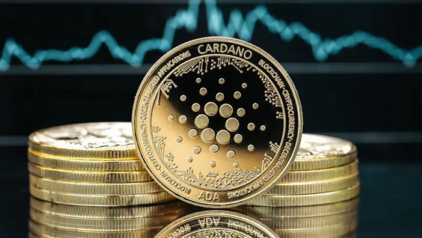 Cardano News: Hoskinson Clarifies His Role After Chang Hard Fork Implementation