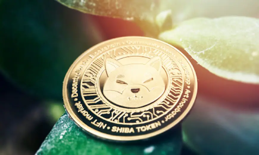 Top 3 Memecoins To Watch As We Head Towards 2025