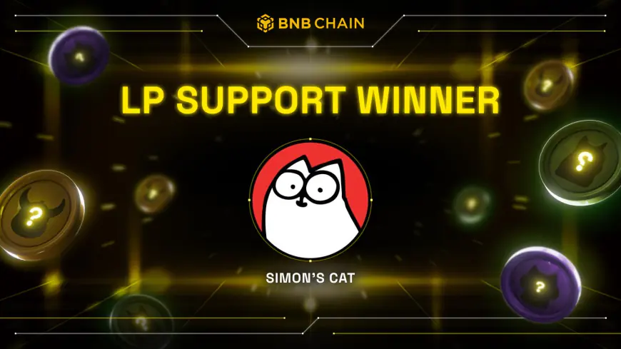 BNB Chain Announces Recipient of BNB Chain Meme Heroes LP Support