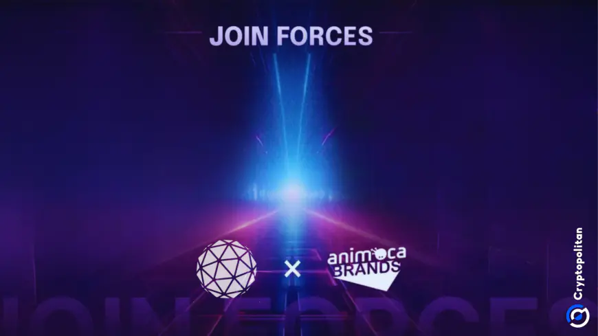 Animoca Brands Japan joins Orbs network as validator