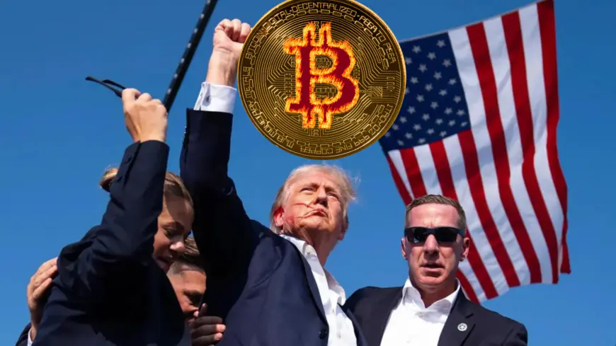 Bitcoin is not so fragile that it NEEDS Donald Trump to win