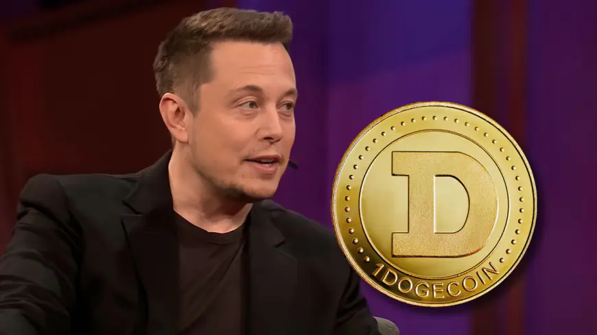 Elon Musk Teases DOGE as the Department of Government Efficiency – What Does It Mean?