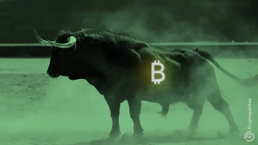 Are Bitcoin bulls back? BTC regains $60K