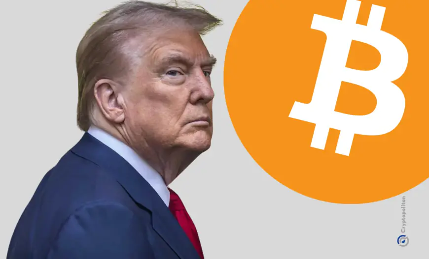 Donald Trump makes a campaign stop at New York Bitcoin bar, reacts to Fed rate cut