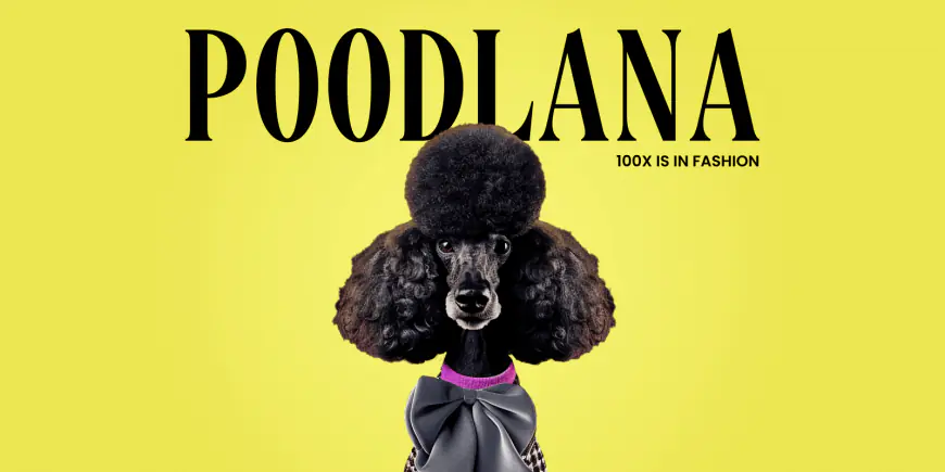 London Fashion Week Highlights: Why POODL is Flying