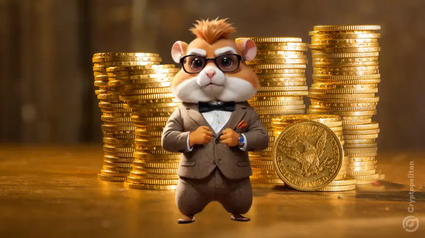 How much will Hamster Kombat airdrop tokens be worth?