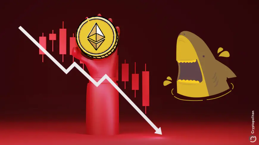 Ether dump incoming? Whales dump 8.5k ETH on CEXs