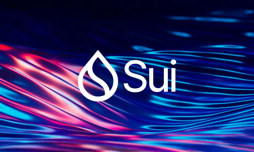 Sui Is the One to Watch: Raoul Pal and K33 Research Predict SUI’s Potential to Rival Solana