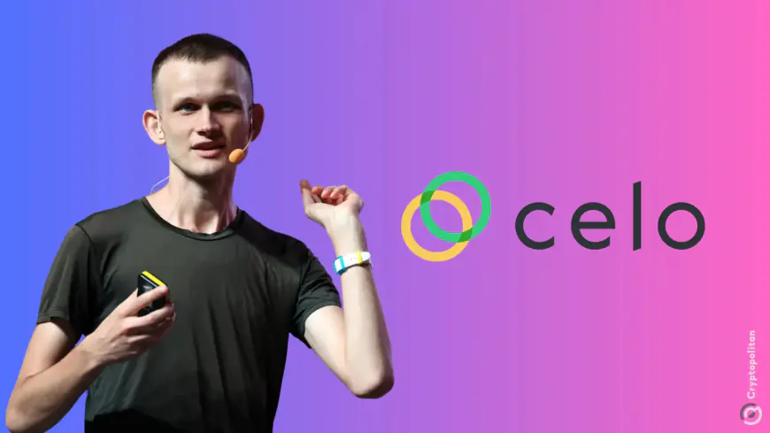 Vitalik Buterin endorses Celo after peak stablecoin traffic