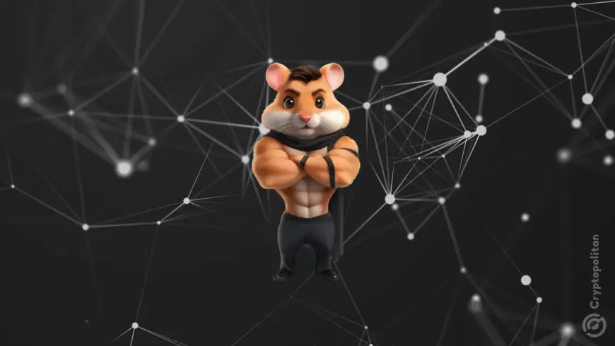 Today’s Hamster Kombat token mint may cripple the TON blockchain