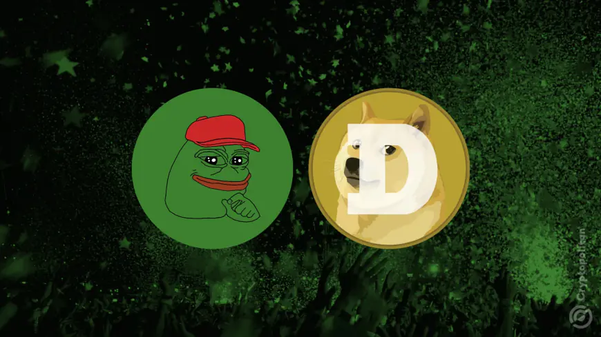 Meme coin market gains 19%, DOGE, PEPE indicate bullish price action