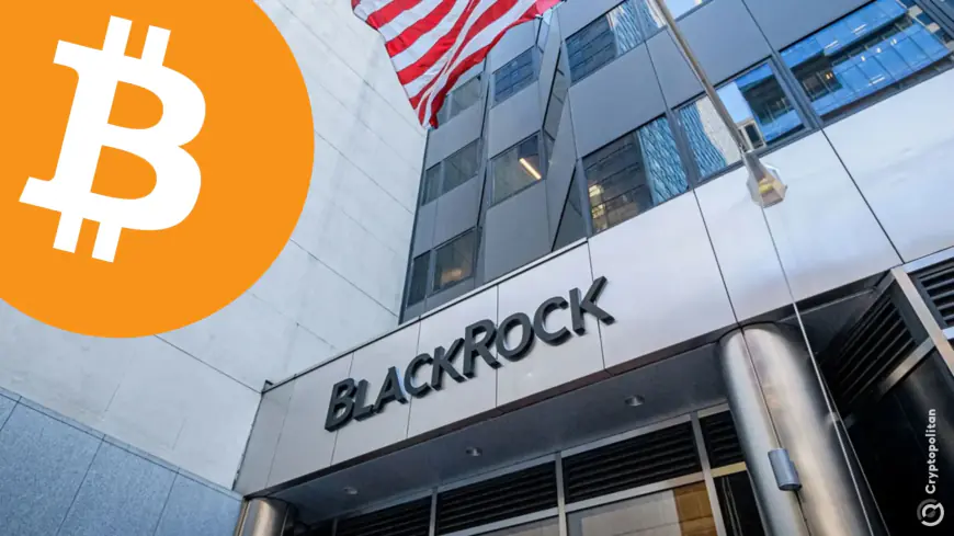 BlackRock promotes Bitcoin as a “unique diversifier”