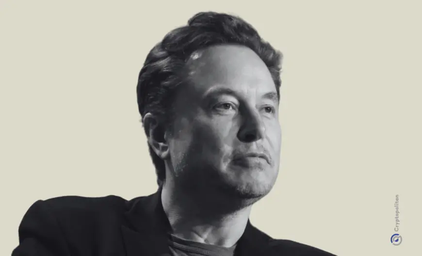 Western censorship pressure on Japanese game developers is “insane” says Elon Musk