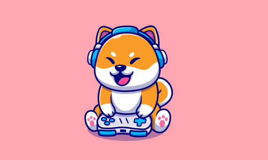 Shiboshi Rush: Shiba Inu’s Latest Game Adventure You Can’t Miss!