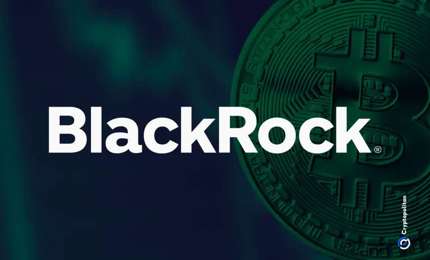 BlackRock stands alone as the only ETF to buy Bitcoin on Oct. 1st