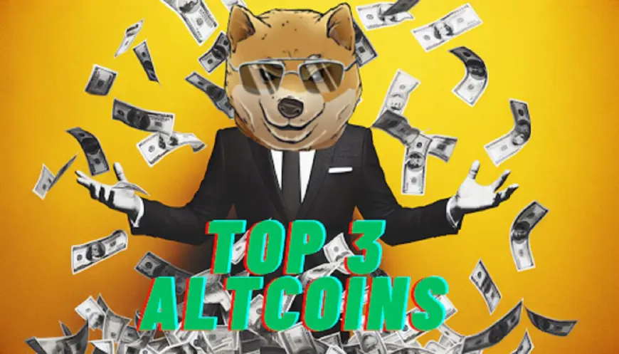 Top 3 Altcoins That Could Outperform Solana and Dogecoin When the Next Bull Market Hits