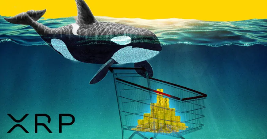 Ripple (XRP) Whale Who Sold Entire $16 Million Bag Reveals ETFSwap (ETFS) And Aptos (APT) As Next Big Bet