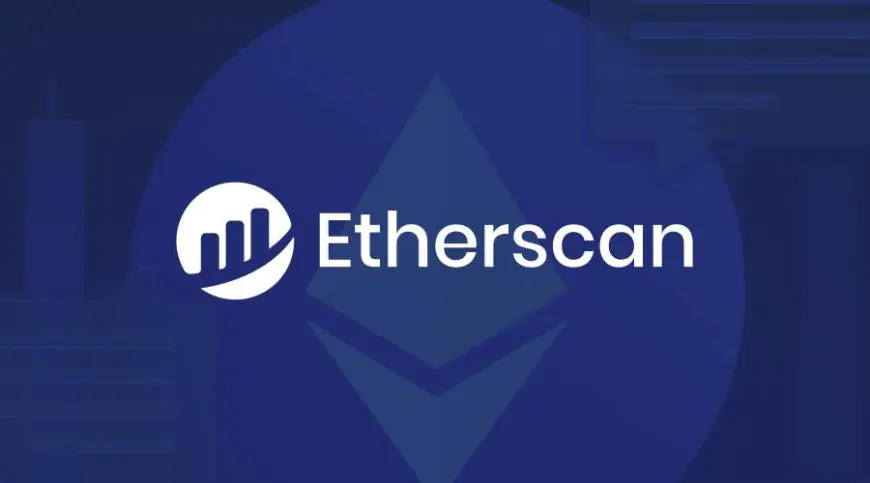 How Matthew Tan Made Blockchain Data More Accessible with Etherscan