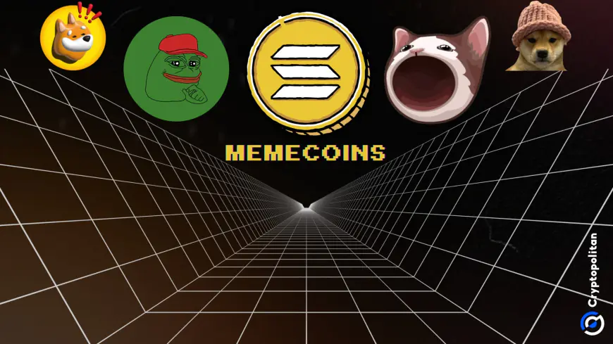 How to buy and trade Solana memecoins