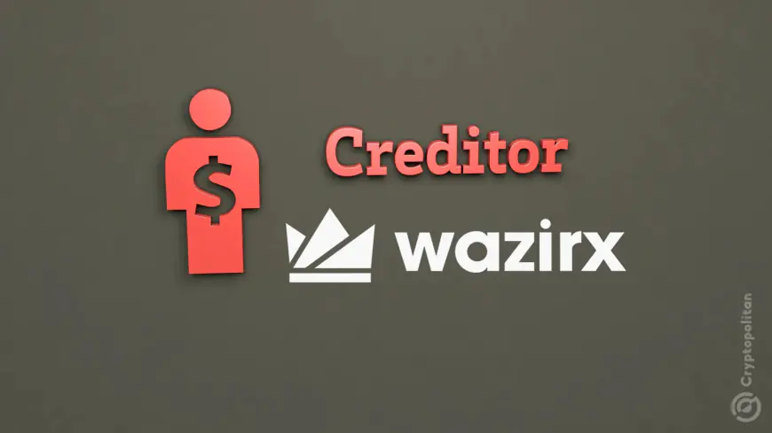 WazirX selects 10 creditors for the CoC but there is a catch