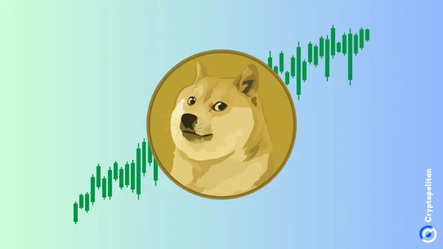 Analysts Bullish About Dogecoin and Lunex Network Reaching $1, Near Protocol Targets $6