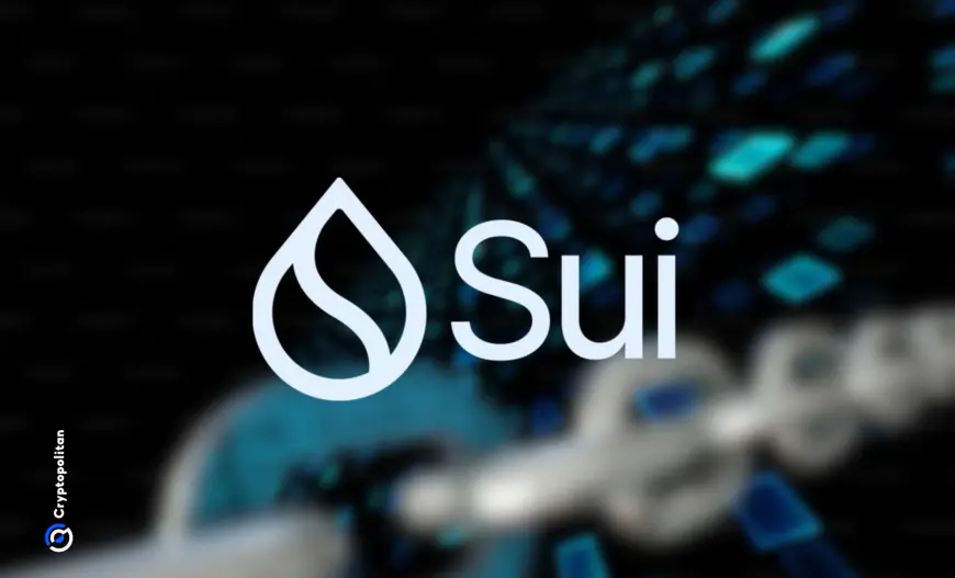 Sui foundation denies $400 million insider token sales allegation as SUI hits ATH