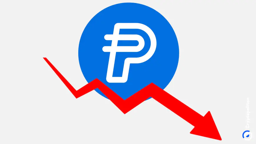 PayPal’s PYUSD Stablecoin 40% Marketcap declines from $1 Billion Peak in August