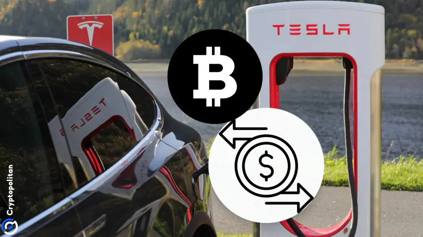 Tesla moves 11,500 bitcoins to unknown wallets raising concerns over possible liquidation