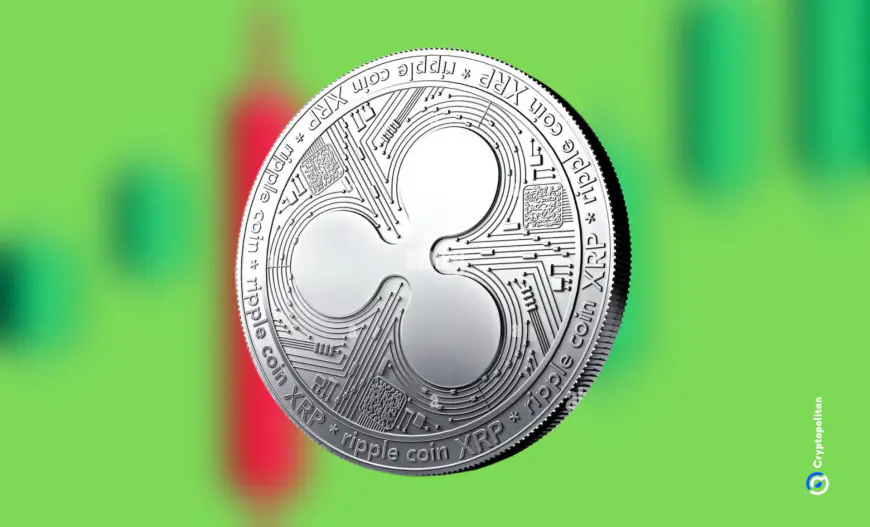 Binance is the top exchange for Ripple’s XRP whales