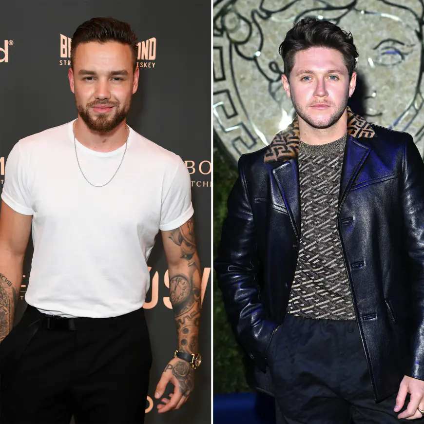 Inside Liam Payne’s Friendship With One Direction Bandmate Niall Horan