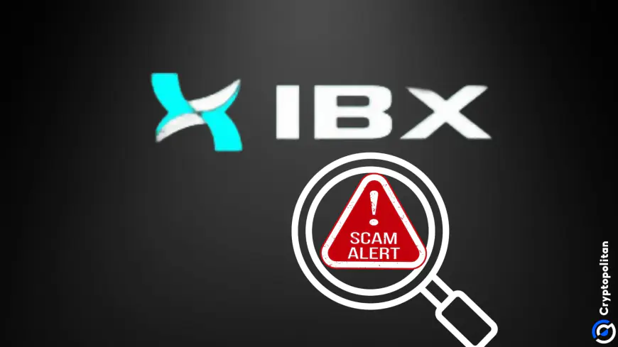 IBX (ARTIC) accused of ‘rugging’ investors after raising 160K SOL ($24M) in presale