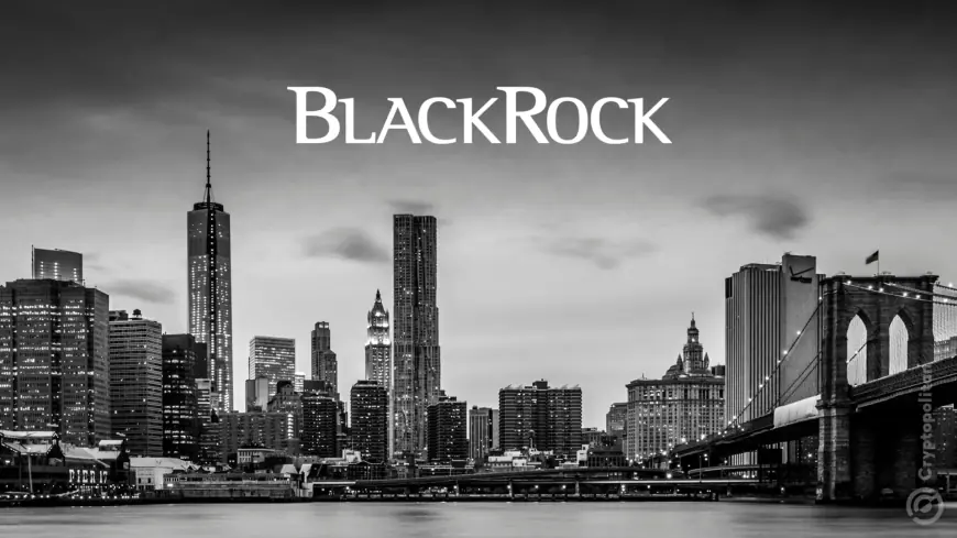 BlackRock aims to expand BUIDL and is in discussion with Binance, OKX