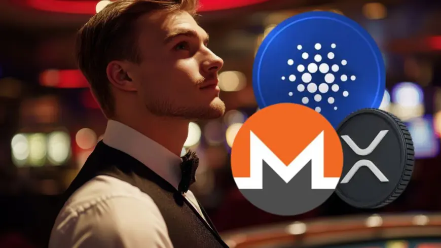 Cardano vs. Kaspa vs. Monero — Which One Will Lead the Autumn Charge for Major Gains?