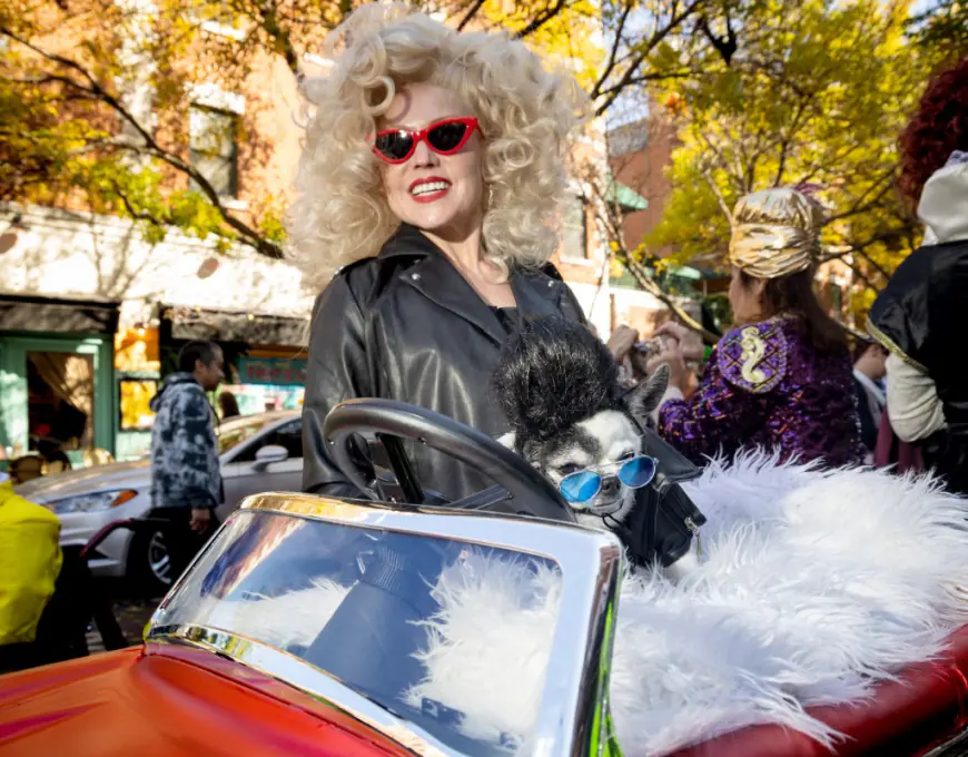 Costume-clad pups take to NYC streets for 34th annual Tompkins Square Halloween Dog Parade