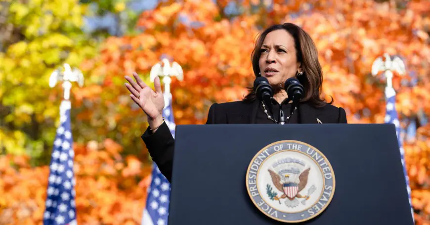 Starring in Kamala Harris’ Closing Argument: Donald Trump