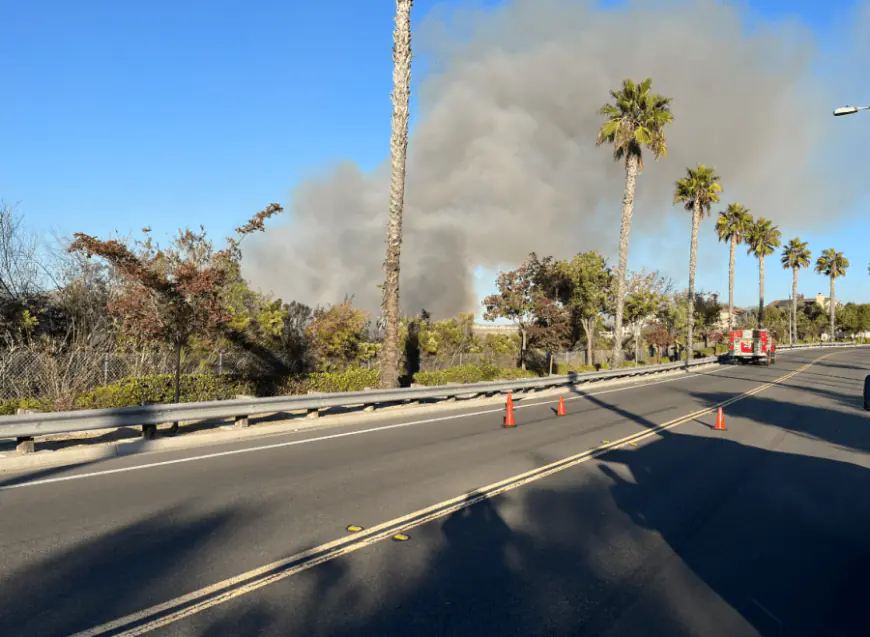 Crews douse South Bay brush fire