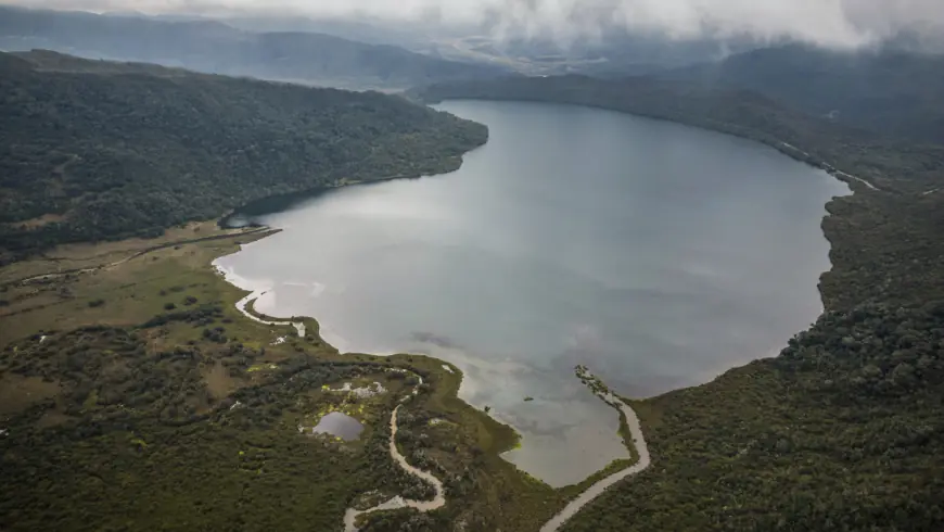 To save nature, world leaders aim to turn words into action at biodiversity summit