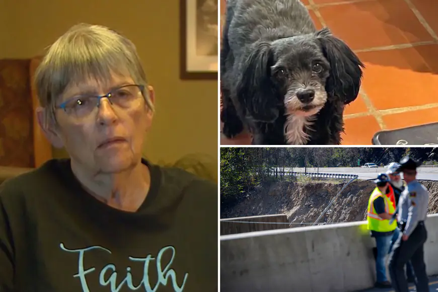 80-year-old woman’s dog swept away by Helene floodwaters as she fought to stay afloat despite heart attack: report