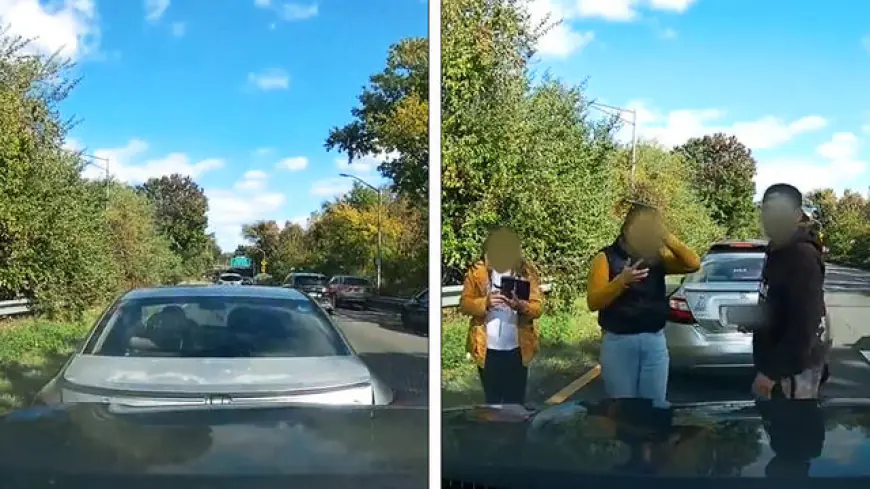 Shocking Video Shows Driver Reversing Into Car on Parkway